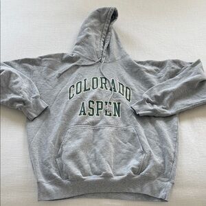 Brandy Melville Gray Hoodie with Green Print